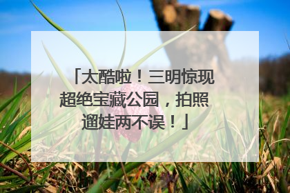太酷啦！三明惊现超绝宝藏公园，拍照遛娃两不误！