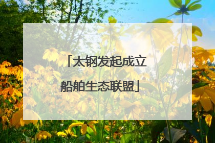 太钢发起成立船舶生态联盟