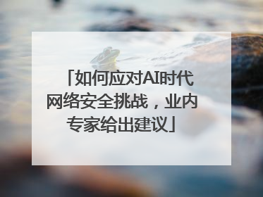 如何应对AI时代网络安全挑战，业内专家给出建议