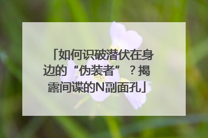 如何识破潜伏在身边的“伪装者”？揭露间谍的N副面孔