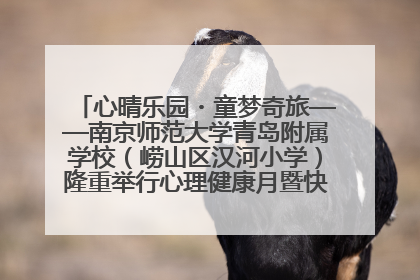 心晴乐园・童梦奇旅——南京师范大学青岛附属学校（崂山区汉河小学）隆重举行心理健康月暨快乐六一游园会