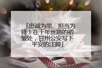 忠诚为墨、担当为锋！在千年丝路的褶皱处，甘州公安写下平安的注脚