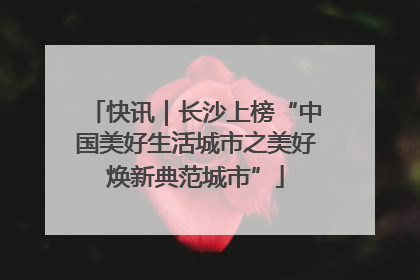 快讯｜长沙上榜“中国美好生活城市之美好焕新典范城市”