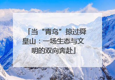 当“青鸟”掠过舜皇山：一场生态与文明的双向奔赴