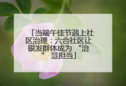 当端午佳节遇上社区治理：六合社区让银发群体成为 “治” 慧担当