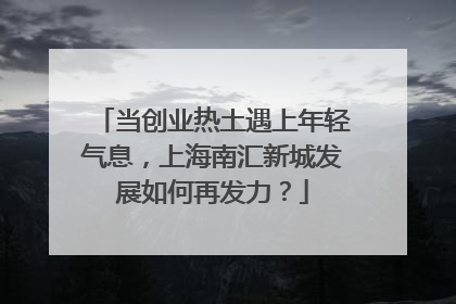 当创业热土遇上年轻气息，上海南汇新城发展如何再发力？