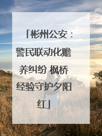 彬州公安：警民联动化赡养纠纷 枫桥经验守护夕阳红