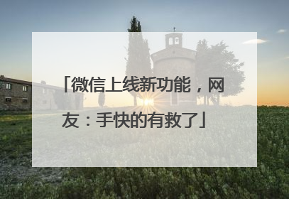 微信上线新功能，网友：手快的有救了
