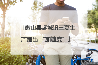 微山县驩城镇三夏生产跑出 “加速度”