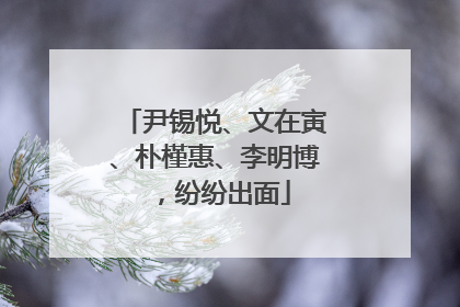 尹锡悦、文在寅、朴槿惠、李明博，纷纷出面