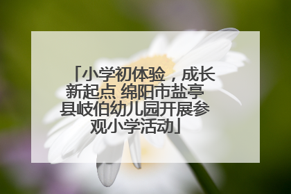 小学初体验，成长新起点 绵阳市盐亭县岐伯幼儿园开展参观小学活动