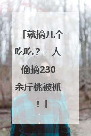就摘几个吃吃？三人偷摘230余斤桃被抓！