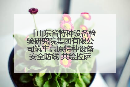 山东省特种设备检验研究院集团有限公司筑牢高原特种设备安全防线 共绘拉萨美好生活画卷