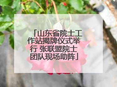 山东省院士工作站揭牌仪式举行 张联盟院士团队现场助阵