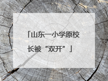 山东一小学原校长被“双开”