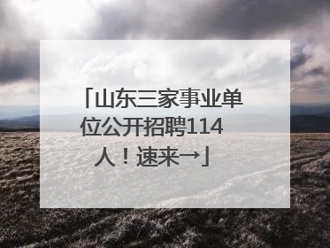 山东三家事业单位公开招聘114人！速来→