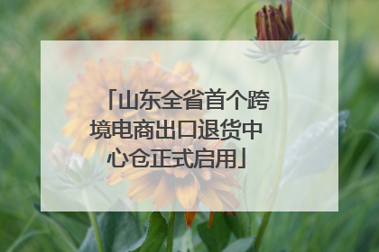 山东全省首个跨境电商出口退货中心仓正式启用