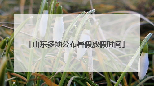 山东多地公布暑假放假时间