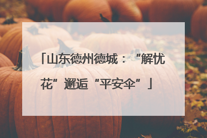 山东德州德城：“解忧花”邂逅“平安伞”