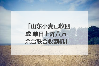 山东小麦已收四成 单日上阵八万余台联合收割机