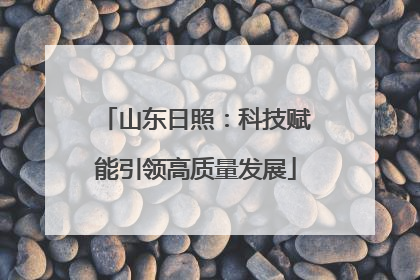 山东日照：科技赋能引领高质量发展