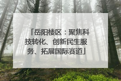 岳阳楼区：聚焦科技转化、创新民生服务、拓展国际赛道