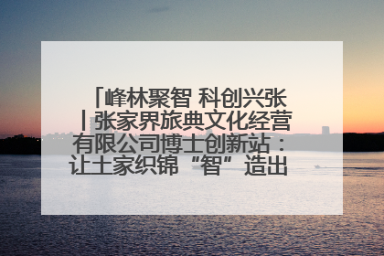 峰林聚智 科创兴张丨张家界旅典文化经营有限公司博士创新站：让土家织锦“智”造出非遗新传奇