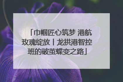 巾帼匠心筑梦 港航玫瑰绽放丨龙拱港智控班的破茧蝶变之路