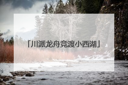 川派龙舟竞渡小西湖