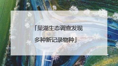 巢湖生态调查发现多种新记录物种