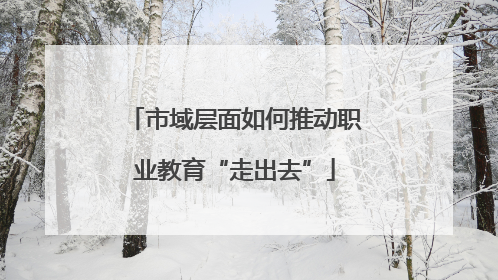 市域层面如何推动职业教育“走出去”