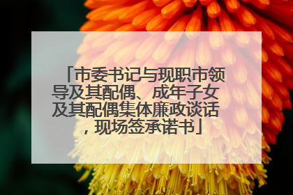 市委书记与现职市领导及其配偶、成年子女及其配偶集体廉政谈话，现场签承诺书