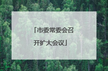 市委常委会召开扩大会议