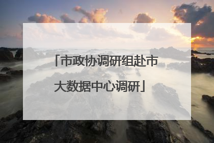 市政协调研组赴市大数据中心调研