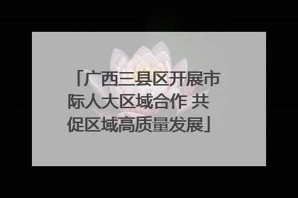 广西三县区开展市际人大区域合作 共促区域高质量发展