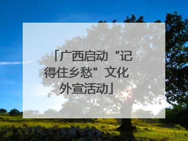 广西启动“记得住乡愁”文化外宣活动
