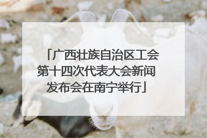 广西壮族自治区工会第十四次代表大会新闻发布会在南宁举行