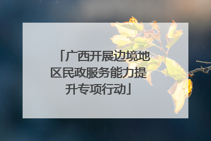 广西开展边境地区民政服务能力提升专项行动