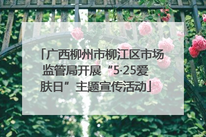 广西柳州市柳江区市场监管局开展“5·25爱肤日”主题宣传活动