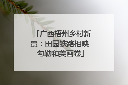 广西梧州乡村新景：田园铁路相映 勾勒和美画卷