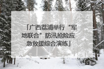 广西荔浦举行“军地联合”防汛抢险应急救援综合演练