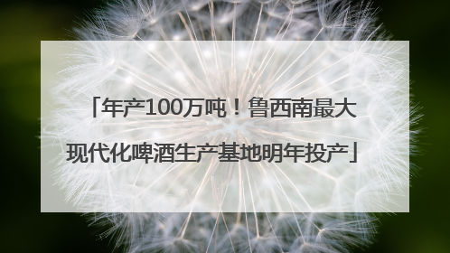 年产100万吨！鲁西南最大现代化啤酒生产基地明年投产