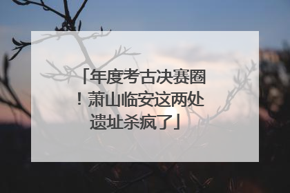 年度考古决赛圈！萧山临安这两处遗址杀疯了