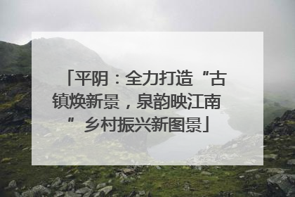 平阴：全力打造“古镇焕新景，泉韵映江南”乡村振兴新图景