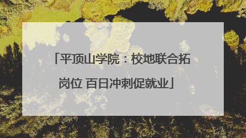 平顶山学院：校地联合拓岗位 百日冲刺促就业