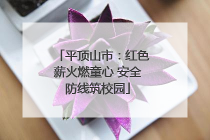 平顶山市：红色薪火燃童心 安全防线筑校园