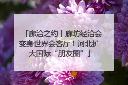 廊洽之约丨廊坊经洽会变身世界会客厅！河北扩大国际“朋友圈”