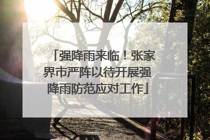 强降雨来临！张家界市严阵以待开展强降雨防范应对工作