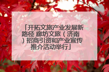 开拓文旅产业发展新路径 廊坊文旅（济南）招商引资和产业宣传推介活动举行