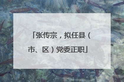 张传宗，拟任县（市、区）党委正职